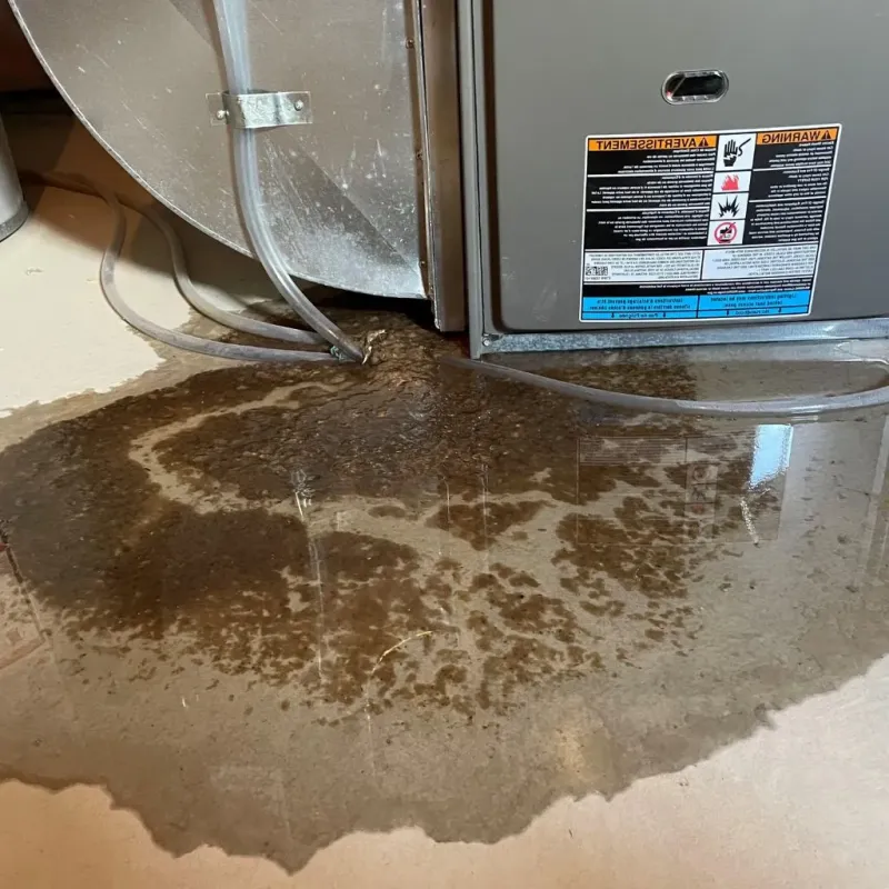 Pipe Burst and Leak Restoration in Fort Washington, PA